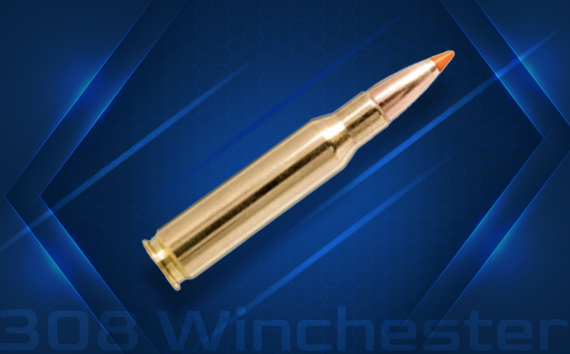 308 Winchester