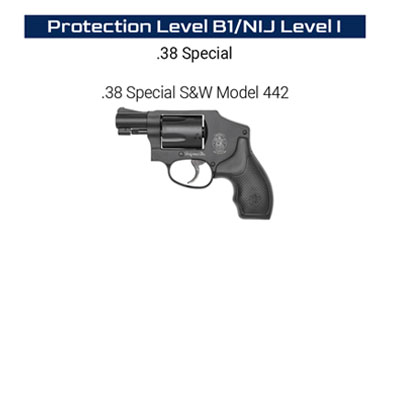 gun1