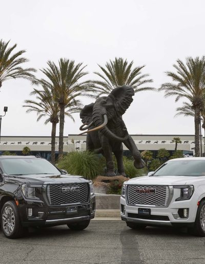 Side-by-side comparison of a black and white 6-door GMC Yukon Denali SUV conversion parked in front of a bronze elephant statue at Quality Coachworks.