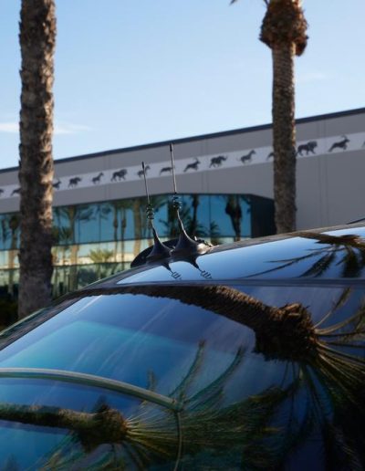Roofline detail of a Cadillac Escalade with reflective tinted glass and palm tree reflections, customized by Quality Coachworks.
